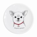 Plate Chihuahua-boy: Photo