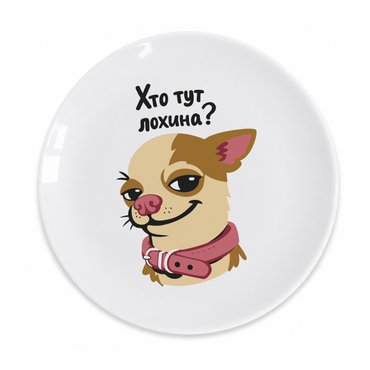 Тарелка «Кто тут лохина?»: фото - ORNER