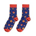 Socks "Autumn Gifts" red: Photo