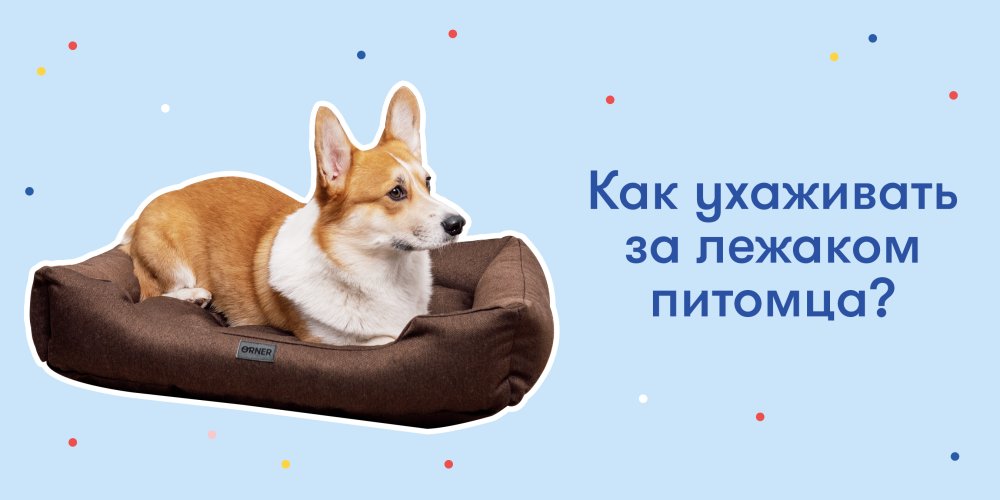 Как ухаживать за лежаком питомца?: Фото 1 - ORNER