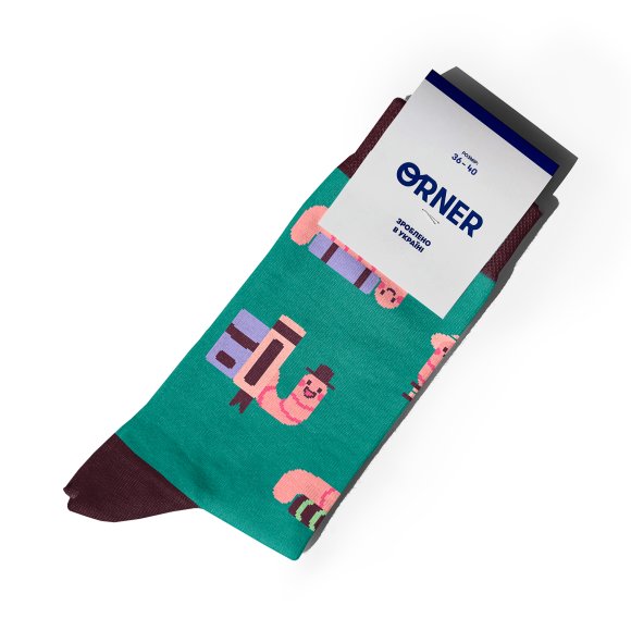 Носки «Книжная эстетика» зеленые: Фото