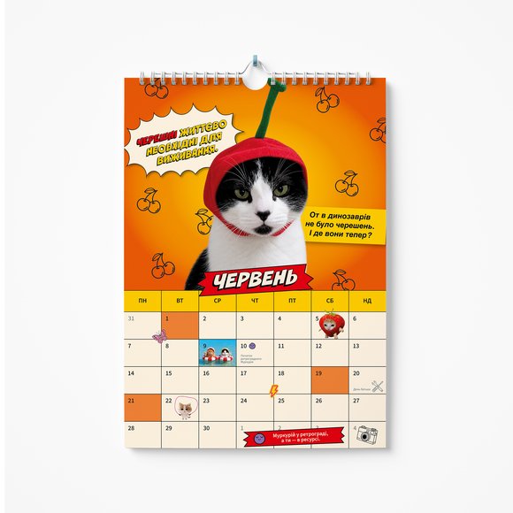 Настінний календар «Котомемокалендар 2027»: Фото