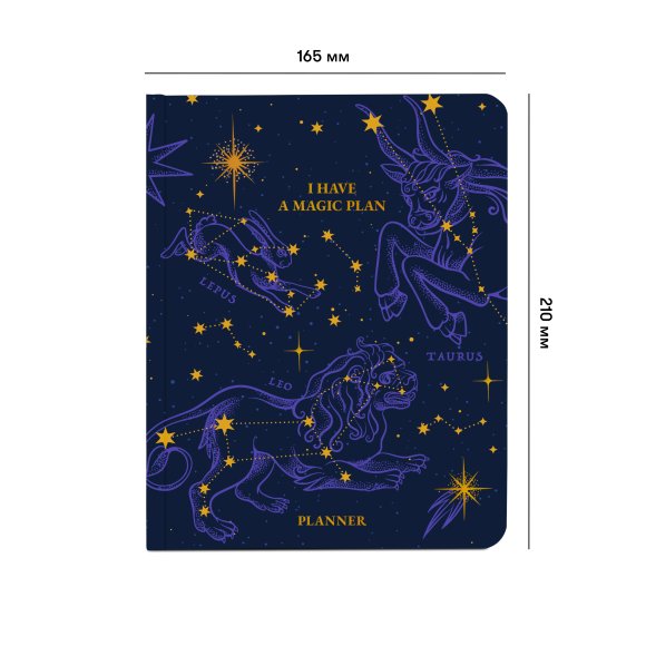 Планер «I HAVE A MAGIC PLAN» синий: Фото