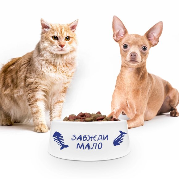 Миска для животных «Всегда мало»: Фото