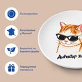 Тарелка «Директор жизни»: Фото 3