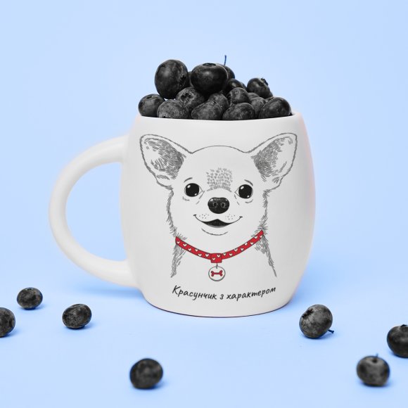Mug Chihuahua-boy: Photo