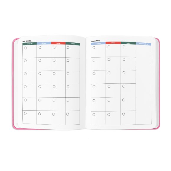 Планер «I HAVE A PLAN» розовый: Фото