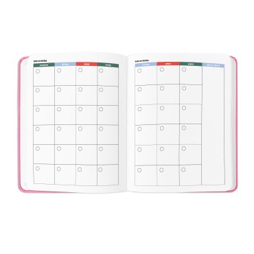 Планер «I HAVE A PLAN» розовый: Фото - ORNER