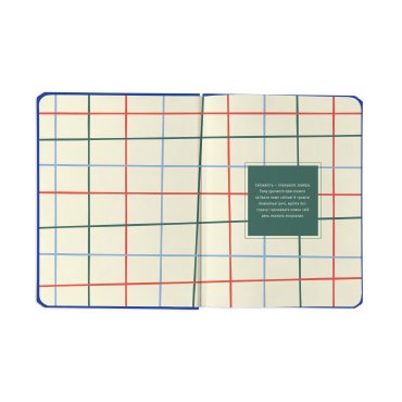 Планер «I HAVE A PLAN» синий: Фото - ORNER