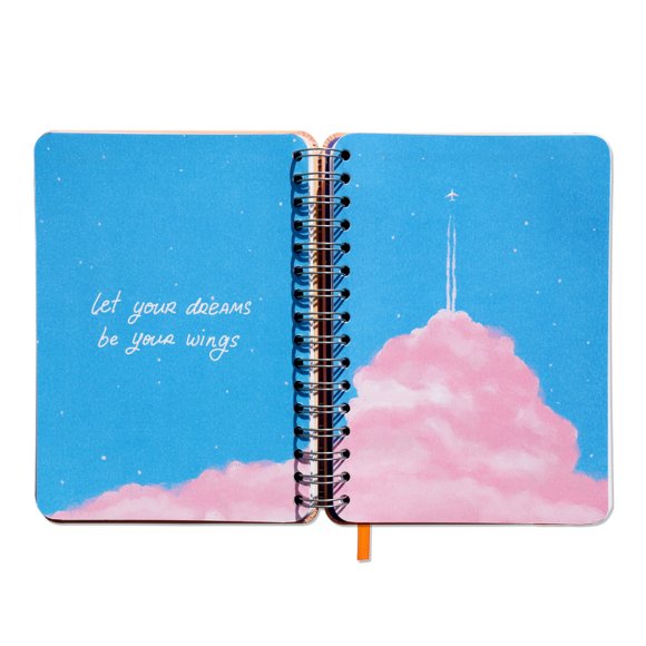 Большой планер I have a SUPER DUPER plan peachy: Фото