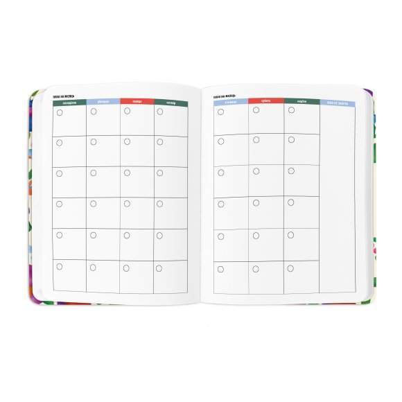 Планер «I HAVE A BRAVE PLAN» барвистий світлий: Фото