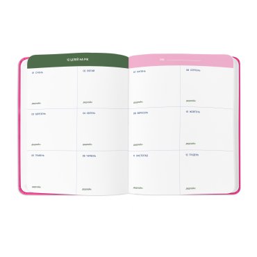 Планер «I HAVE NO PLAN AT ALL» розовый: Фото - ORNER