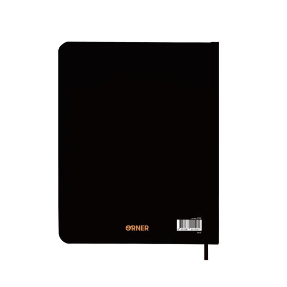 Планер «I HAVE ABSOLUTELY NO PLAN» черный: Фото