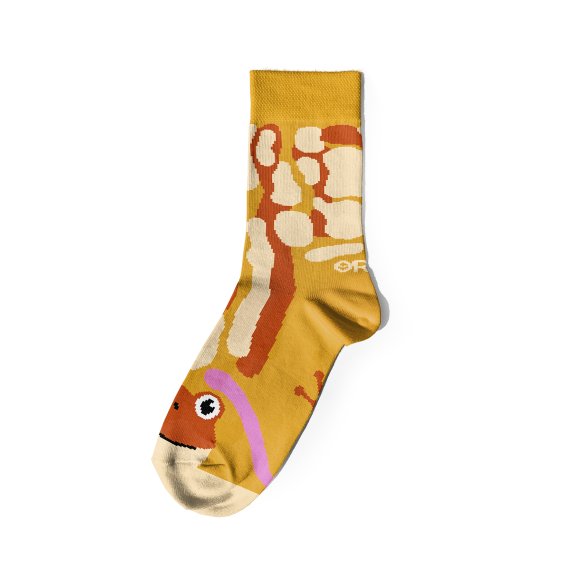 Kids Socks Set "Ribbit": Photo