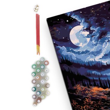 Painting by numbers Night Forest: photo 2 - ORNER