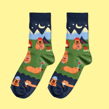 Socks Capybaras in the Mountains: photo 2 - ORNER