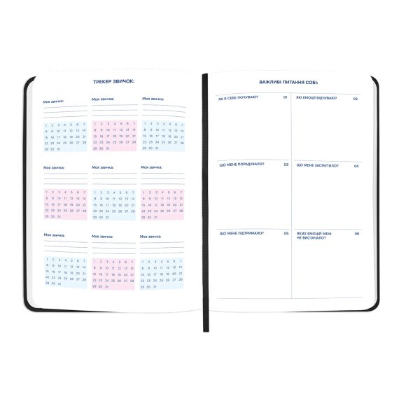 Планер «WORLD'S MOST AMAZING PLAN» черный: Фото