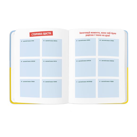 Planner I HAVE A PLAN yellow-blue: Photo