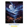 Картина по номерам «Ночной лес»: Фото 3