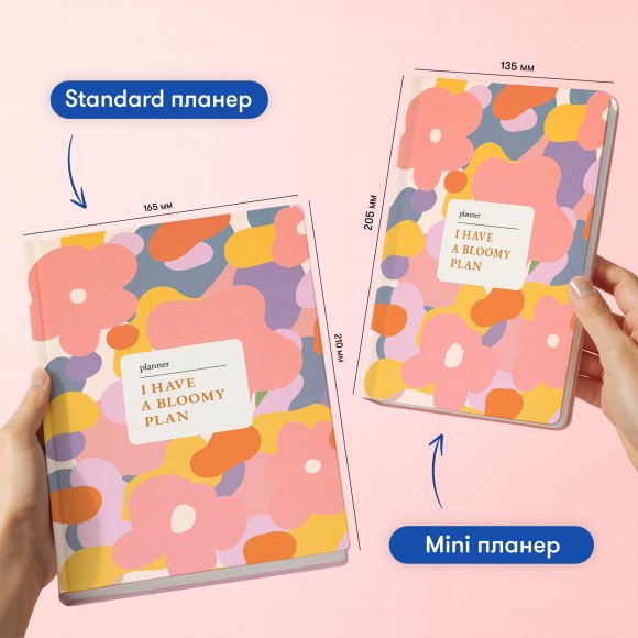 Мініпланер «I HAVE А BLOOMY PLAN mini» барвистий: Фото