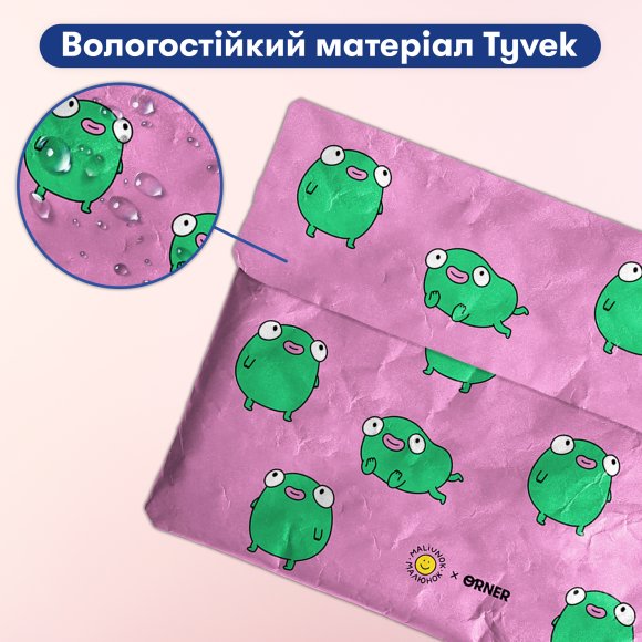 Laptop case "Frog": Photo