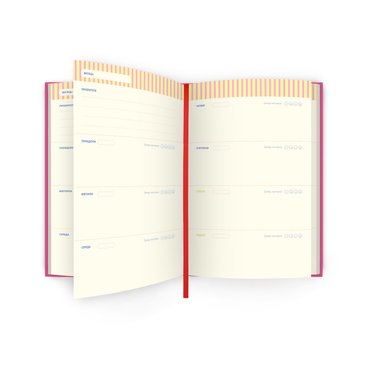 Мини-планер «SUPER-DUPER PLAN mini»: фото 2 - ORNER
