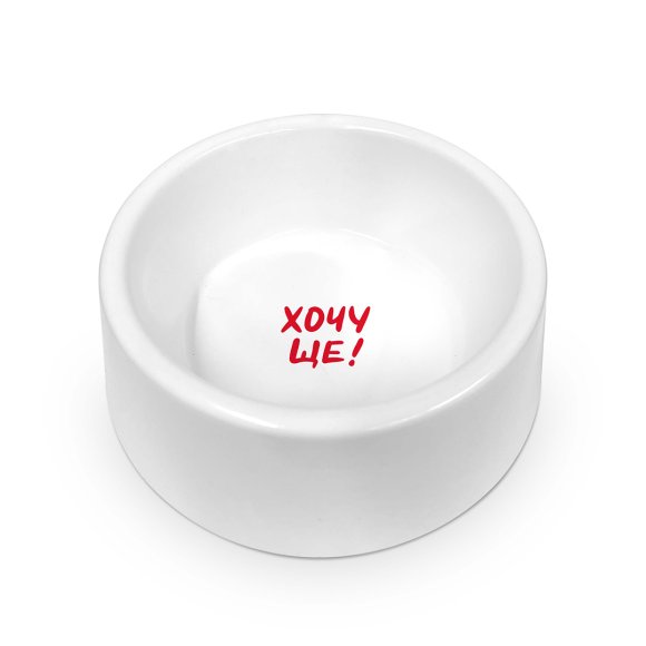 Animals’ bowl Star!: Photo