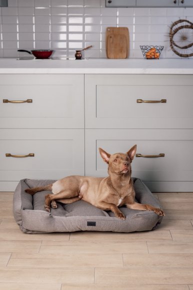 Classic bed for pets gray L: Photo
