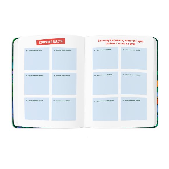 Планер «I HAVE A BRAVE PLAN» красочный темный: Фото