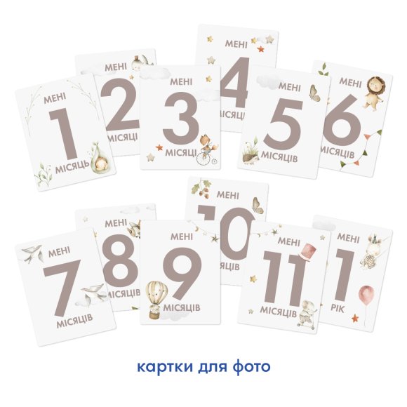 Baby Photo Album "Little Lion": Photo