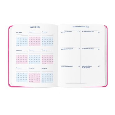 Планер «I HAVE NO PLAN AT ALL» розовый: Фото - ORNER