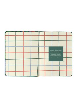 Планер «I HAVE A BRAVE PLAN» красочный светлый: Фото - ORNER