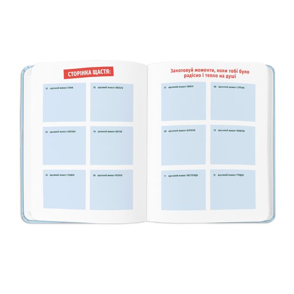 Planner I HAVE A BRAVE PLAN patriotic blue: Photo