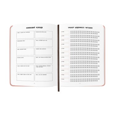 Дневник читательский «Счастливые моменты чтения»: Фото - ORNER