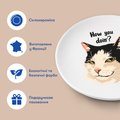 Тарелка «How you doin’?»: Фото 3