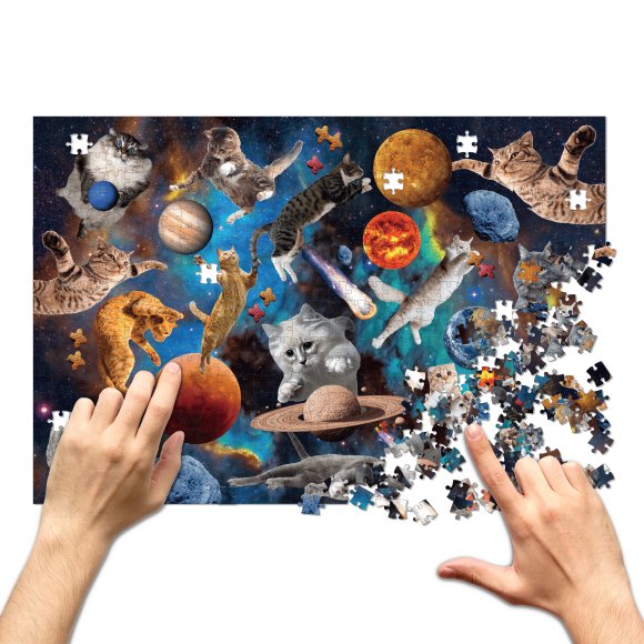 Jigsaw puzzle Cats in open space 500 elements: Photo