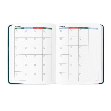 Планер «I HAVE A PLAN» зеленый: Фото - ORNER