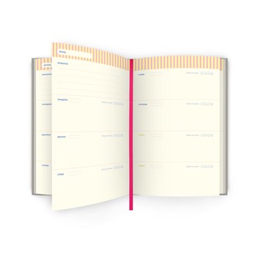 Мініпланер «IT’S TIME TO PLAN mini» сріблястий: фото 2 - ORNER