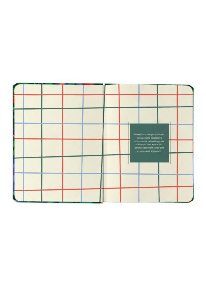 Планер «I HAVE A BRAVE PLAN» барвистий світлий: Фото