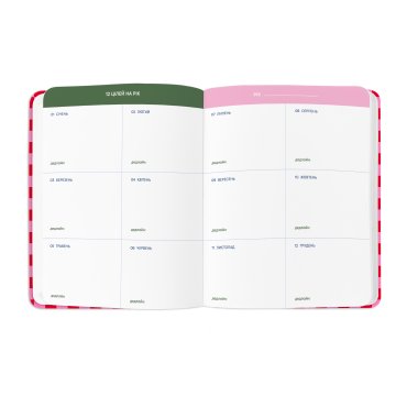 Планер «I HAVE A SECRET PLAN» розовый: Фото - ORNER