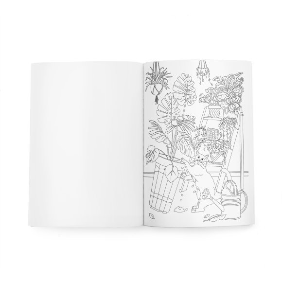 Розмальовка з котиками «Пригоди пухнастих бешкетників»: Фото