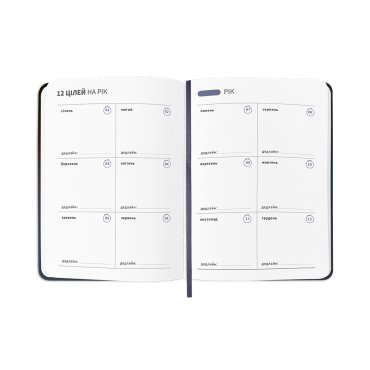 Планер-дневник «Мой серьезный год» синий: Фото - ORNER