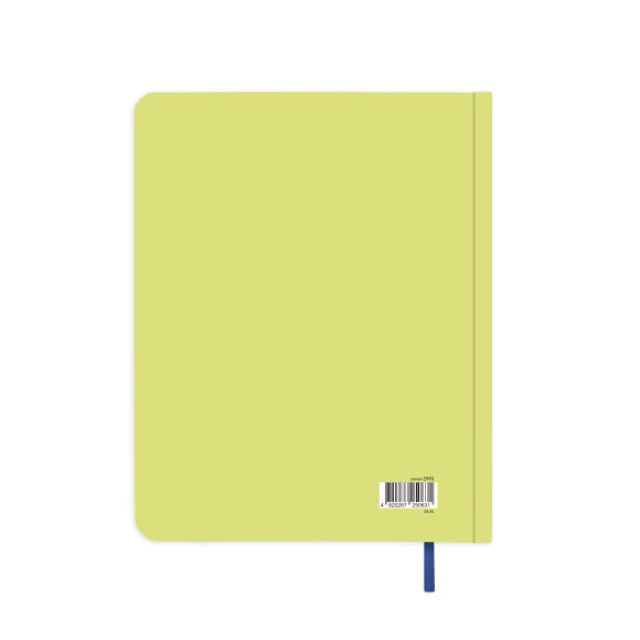 Дневник благодарности «Спасибо» салатовый: Фото