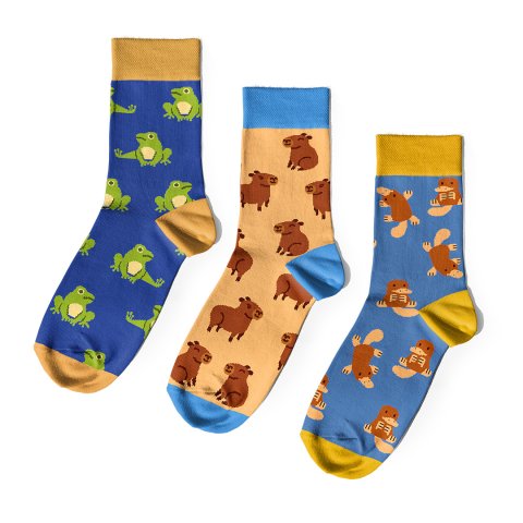 Фото Фото - ORNER