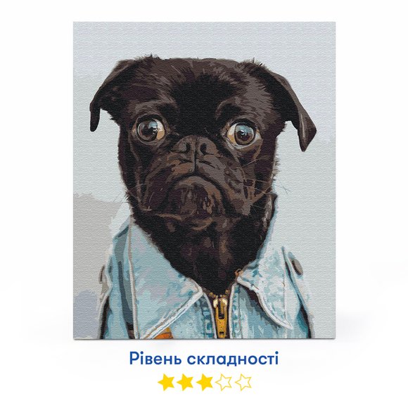 Картина по номерам «Мопс»: Фото