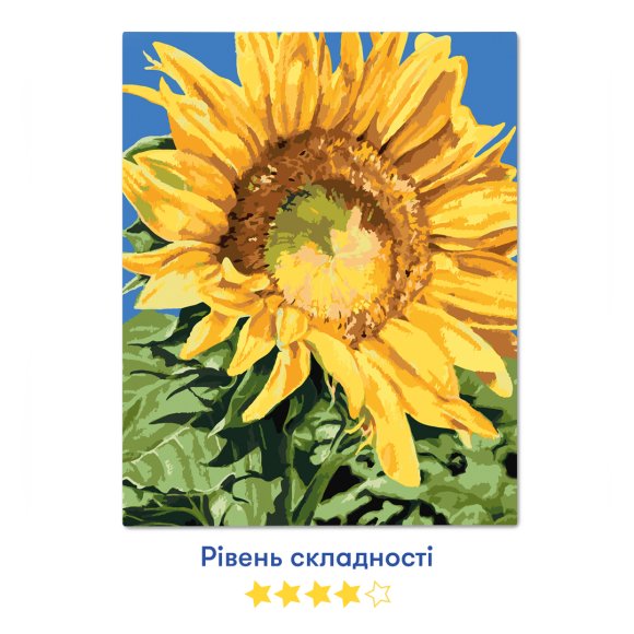 Картина по номерам ORNER x Osmolovska «Подсолнух»: Фото