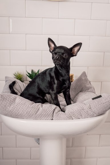 Bed for pets light gray S: Photo