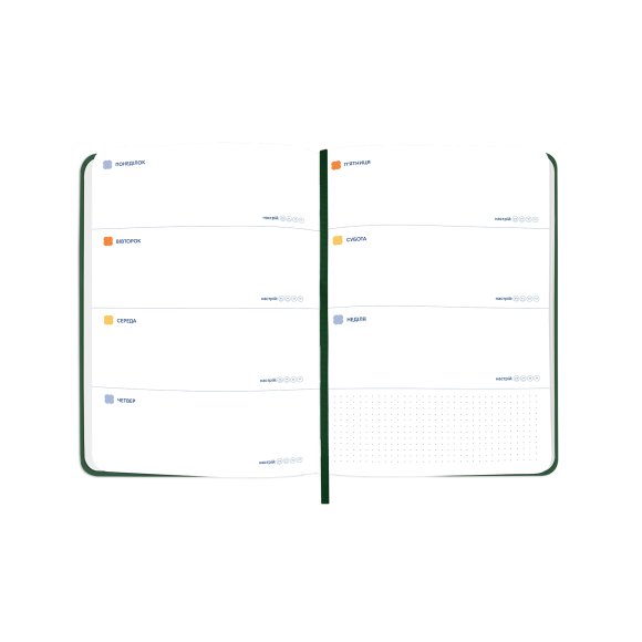 Планер «PLAN LIKE NOBODY'S WATCHING» зеленый: Фото