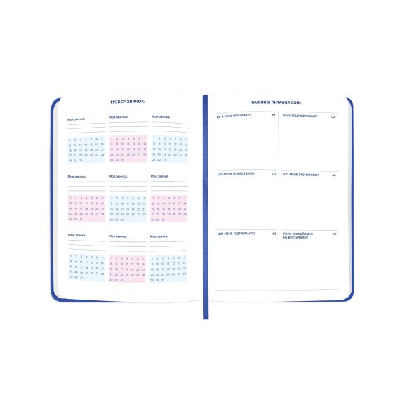 Планер «I HAVE A PLAN» синий: Фото