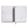 Set of Big planner I HAVE A PLAN and stickers for planners: Photo 4 - ORNER 